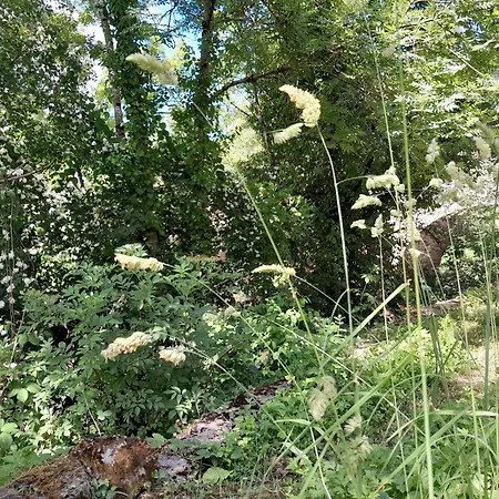 Le Petit Cele T1 Equipee * Фижак