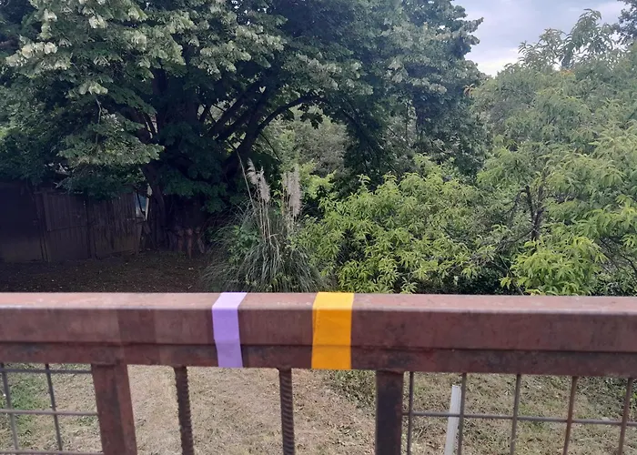 Le Petit Cele T1 Equipee アパート フィジャック